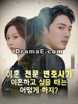 이혼 전문 변호사가 이혼하고 싶을 때는 어떻게 하지?