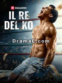Il Re del KO