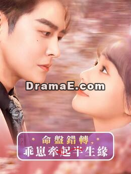 命盤錯轉，乖崽牽起半生緣