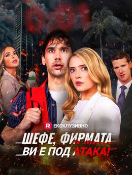 Шефе, фирмата ви е под атака!