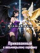 Контракт с Восьмикрылым Серафимом